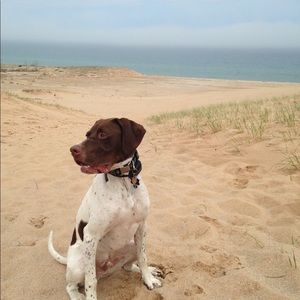 Meet your Posher, Meredith